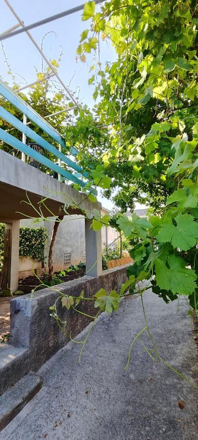 Family House "Pansion Kvarner" Vila Punat Exterior foto